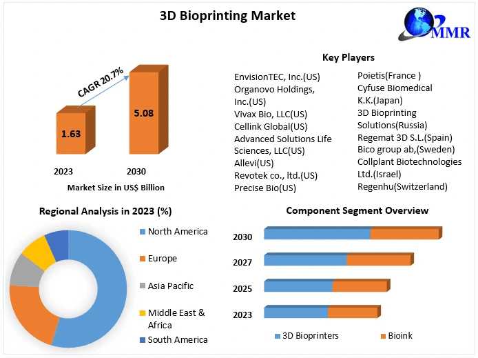 3D Bioprinting Market: Pioneering The Era Of Regenerative Medicine - A Deep Exploration Into Market Trends And Future Applications (2024-2030)