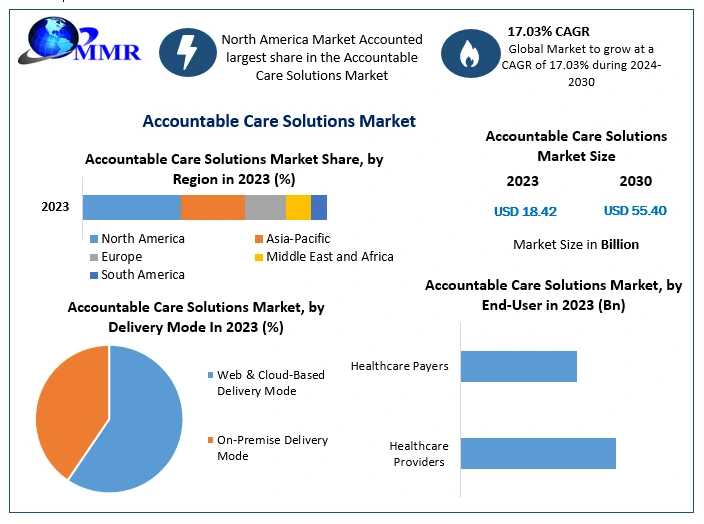 Accountable Care Solutions Market: Web-Based Solutions Shaping The Future Of Healthcare Delivery