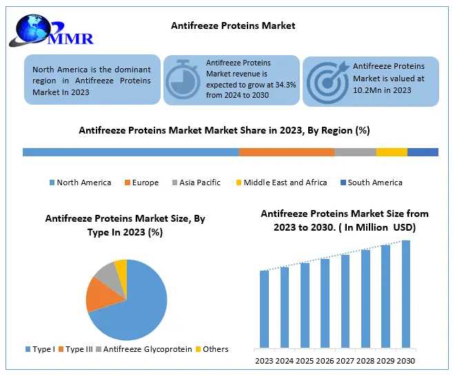 Antifreeze Proteins Market To Reach USD 80.38 Million By 2030 With 34.3% CAGR