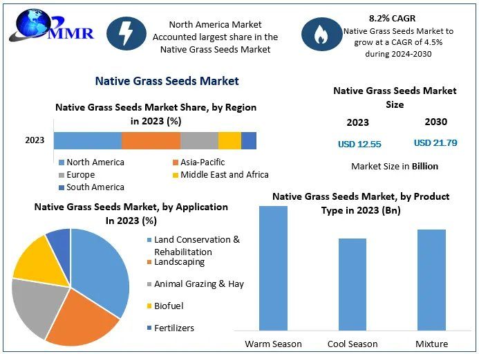Global Native Grass Seeds Market Expands At A CAGR Of 8.2% – Report By MMR