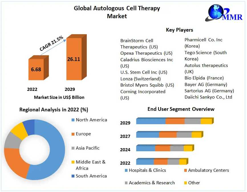 Autologous Cell Therapy Market Executive Summary, Segmentation, Review, Trends, Opportunities, Growth, Demand And Forecast To 2029