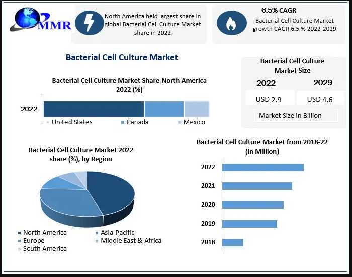 Bacterial Cell Culture Market Regional Share, Top Countries Data, New Innovations, Top Players Updates, Business Statistics, Industry Size, Emerging Trends