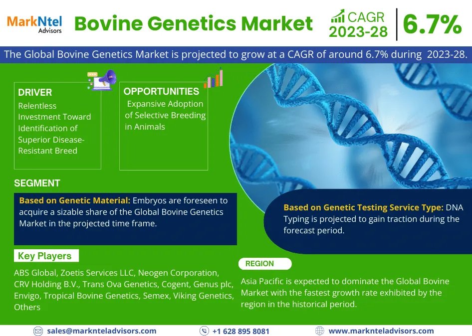 Bovine Genetics Market Set For Explosive Growth With 6.7% CAGR By 2028