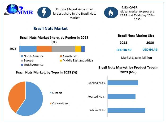 Brazil Nuts Market Analysis: From USD 46.42 Million In 2023 To USD 64.46 Million By 2030