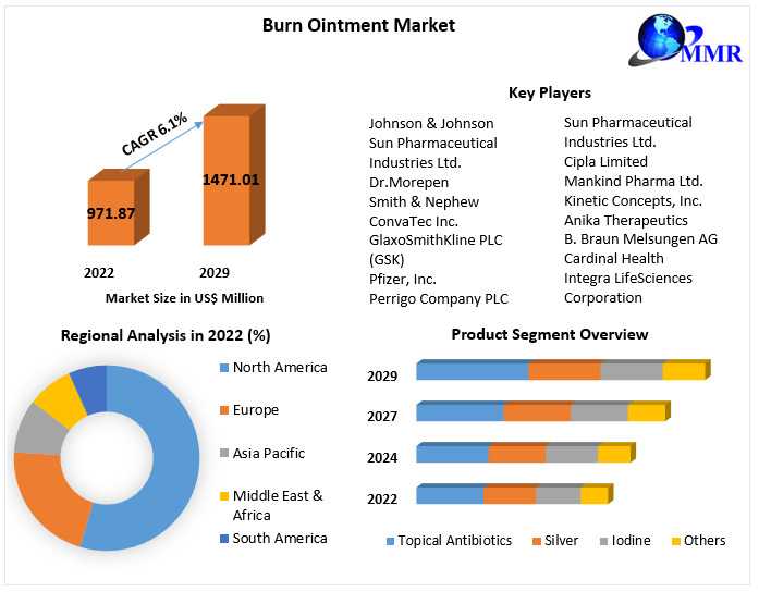 Burn Ointment Market Industry Outlook, Key Players, Segmentation Analysis, Business Growth And Forecast To 2030