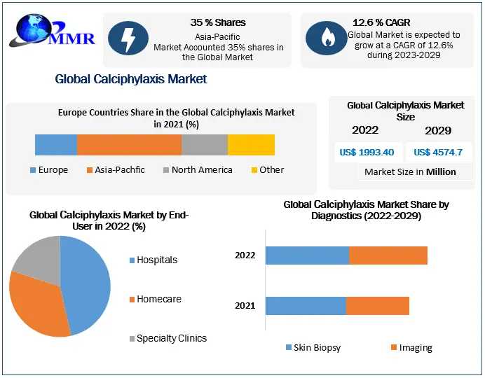 Calciphylaxis Market Share, Size, Segmentation With Competitive Analysis. Product Types, Cost Structure Analysis, Leading Countries, Companies And Forecast 2029