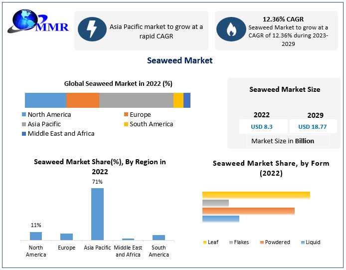 Charting The Course: Strategies For Success In The Seaweed Market 2023-2029