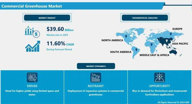 Commercial Greenhouses: Shaping The Future Of Food Production And Urban Farming