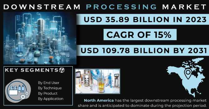 Downstream Processing Market Analysis With COVID-19 Impact On Business Growth, And Forecast 2024-2031
