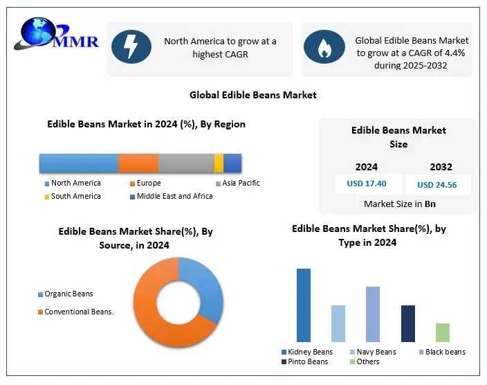 Edible Beans Market Forecast 2033: Rapid Growth Driven By Plant-Based Protein Demand
