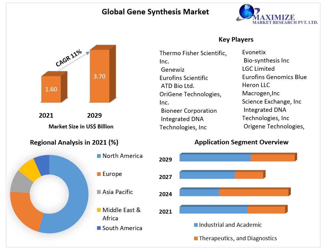 Gene Synthesis Market Expected To Reach US$ 3.70 Bn By 2029, Growing At 11%