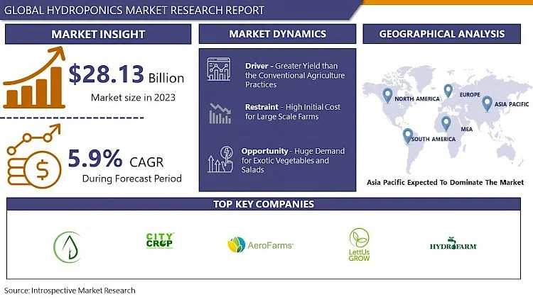 Global Hydroponics Market To Exhibit A Remarkable CAGR Of 5.9% By 2032 | IMR