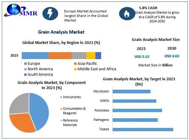 Grain Analysis Market Dynamics Insights Into Regional Growth Patterns