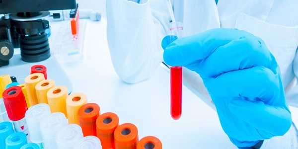 Hematology Cell Counters Market: Advancing Blood Diagnostics With Precision