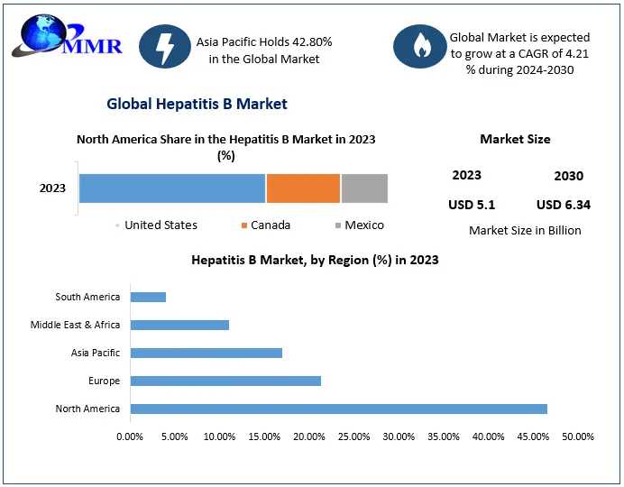 Hepatitis B Market Size, Share, Global Industry Outlook By Types, Applications, And End-User Analysis Industry Growth Forecast To 2029
