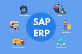 How Can Your Company Pick The Best SAP Business One Partner In Jaipur?