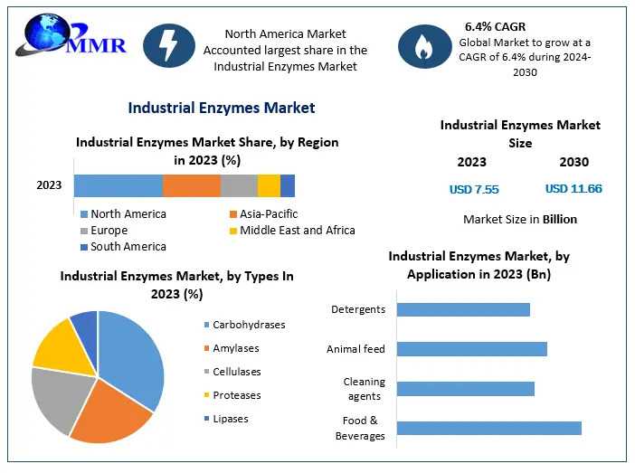 Industrial Enzymes Market Set To Soar: Demand Driven By Green Chemistry & Sustainability