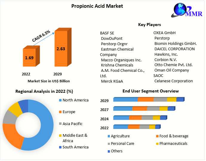 Innovations In Preservative Solutions: Propionic Acid Market Trends And Forecast (2024-2030)