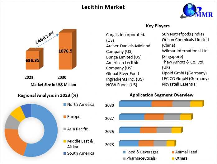 Lecithin Market Trends: Significant Growth Expected Over The Next Several Years