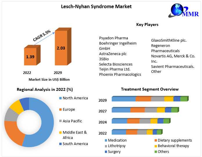 Lesch-Nyhan Syndrome Market Demand, Industry Share, Trend, Opportunities, And Challenges, With A Forecast Through 2030