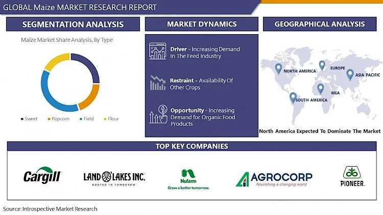 Maize Market To Significant Growth Foreseen Opportunities