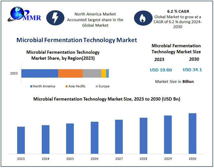 Microbial Fermentation Technology: Comprehensive Analysis Of Size, Share, Revenue, And Forecasts Through 2030