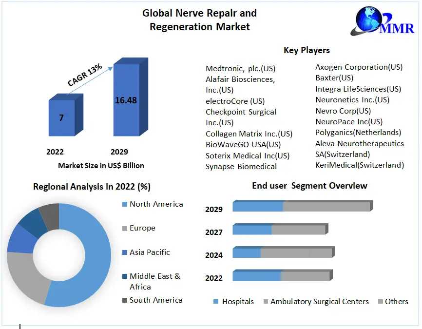 Nerve Repair And Regeneration Market Future Growth, Competitive Analysis And Forecast 2029