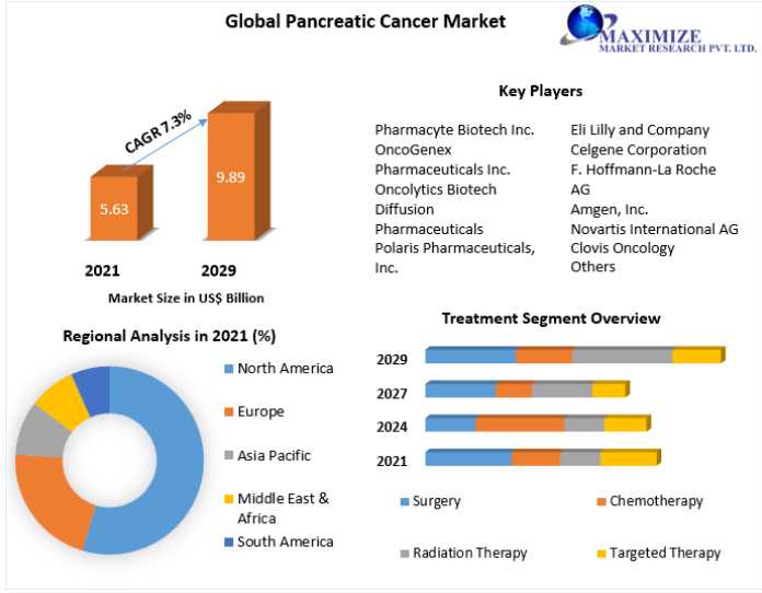 Pancreatic Cancer Market: Growth Factors, Top Manufacturers, Future Investment, Trends, Segmentation, Regional Outlook, Future Plans And Forecast To 2022-2029