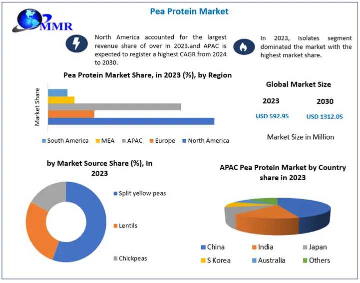 Pea Protein Market Metrics Matrix: Exploring Size, Share, Revenue, And Statistics Overview | 2024-2030