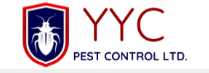Professional Pest Control Calgary – Safe & Effective