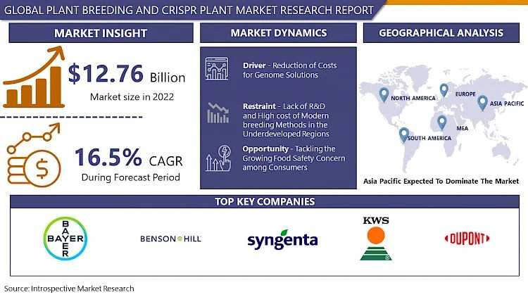 Plant Breeding Meets Precision: How CRISPR Is Redefining Crop Development