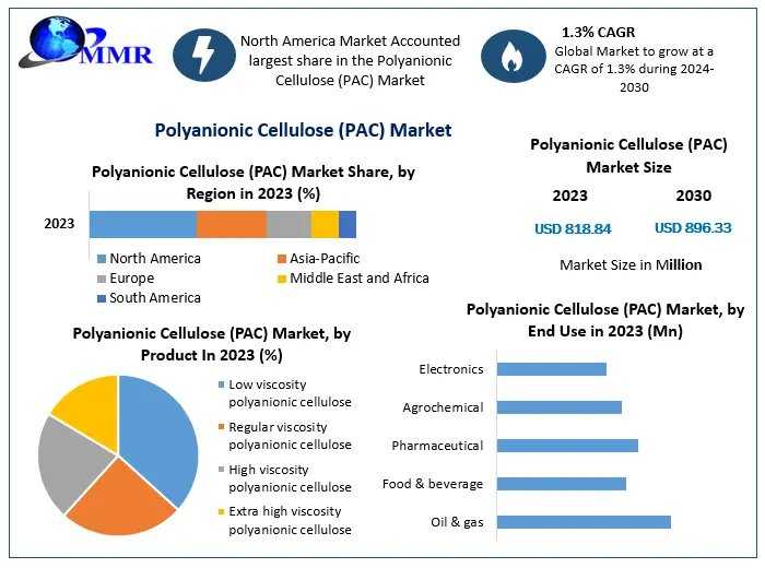 Polyanionic Cellulose Market: Industry Growth And Future Outlook
