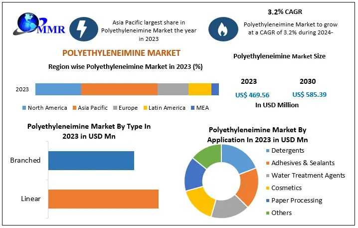 Polyethyleneimine Market Key Players And Strategies, Forecast 2024–2030
