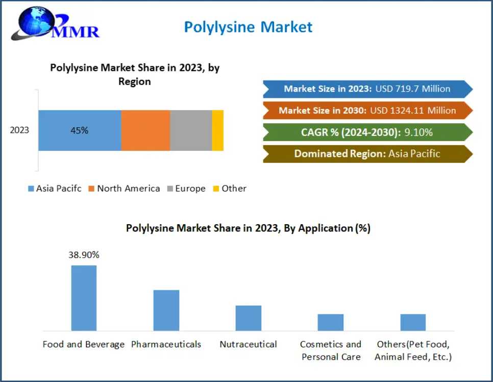 Polylysine Market Analysis Forecasted CAGR Of 9.10% By 2030