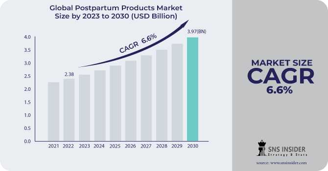 Postpartum Products Market: Enhancing Maternal Health