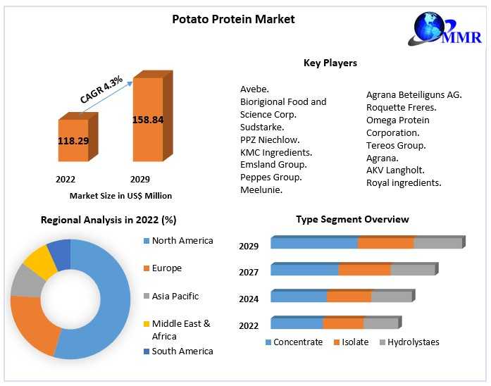 Potato Protein Market  Business Strategies, Revenue Global Technology, Application, And Growth Rate Upto 2029