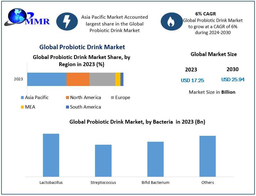 Probiotic Drink Market Growth Segments - Business Size With Forthcoming Developments 2030