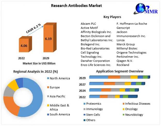 ​​​Research Antibodies Market Trends, Growth Factors, Size, Segmentation And Forecast To 2029