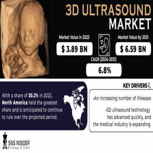 3D Ultrasound Market Analysis With COVID-19 Impact On Business Growth, And Forecast 2024-2031