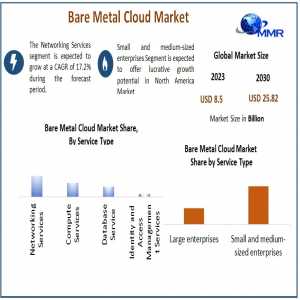 Bare Metal Cloud Market Insights: Size, Share, Revenue, And Future Scope Analysis 2024 To 2030