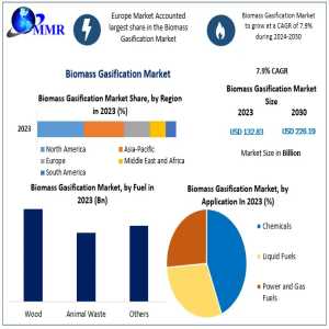 Biomass Gasification Market Forecast: Future Trends And Opportunities