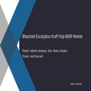 Bleached Eucalyptus Kraft Pulp (BEKP) Market: A Deep Dive Into Growth, Trends, And Future Outlook