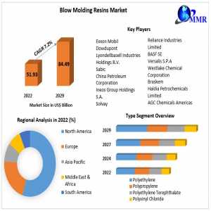 Blow Molding Resins Market 2024 Global Size, Industry Trends, Revenue, Future Scope And Outlook 2030