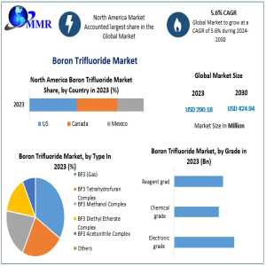 Boron Trifluoride Market Growth: High Growth Forecast For North America Region