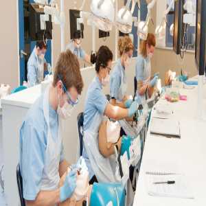 Courses For Dental Students In India