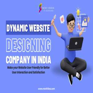 Creative User Experience With Dynamic Website Design Services In India: You Can Boost Your Business Growth | Nexthikes