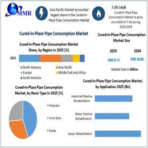 Cured-In-Place Pipe Market: Growth Opportunities In Trenchless Technology