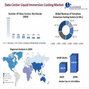 Data Center Liquid Immersion Cooling Market: Revolutionizing Data Center Efficiency (2024-2030)