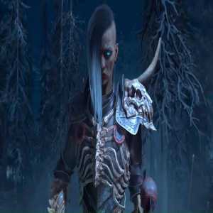 Diablo 4's Druid Class Wasn't Originally Planned