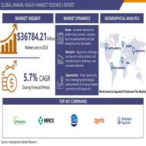 Digital Revolution In Animal Care: How Technology Is Transforming The Market